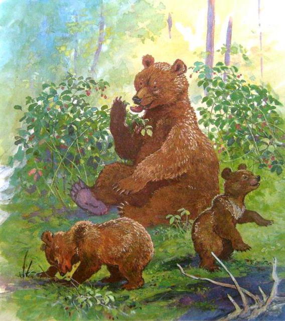 Милый медвежонок картинки